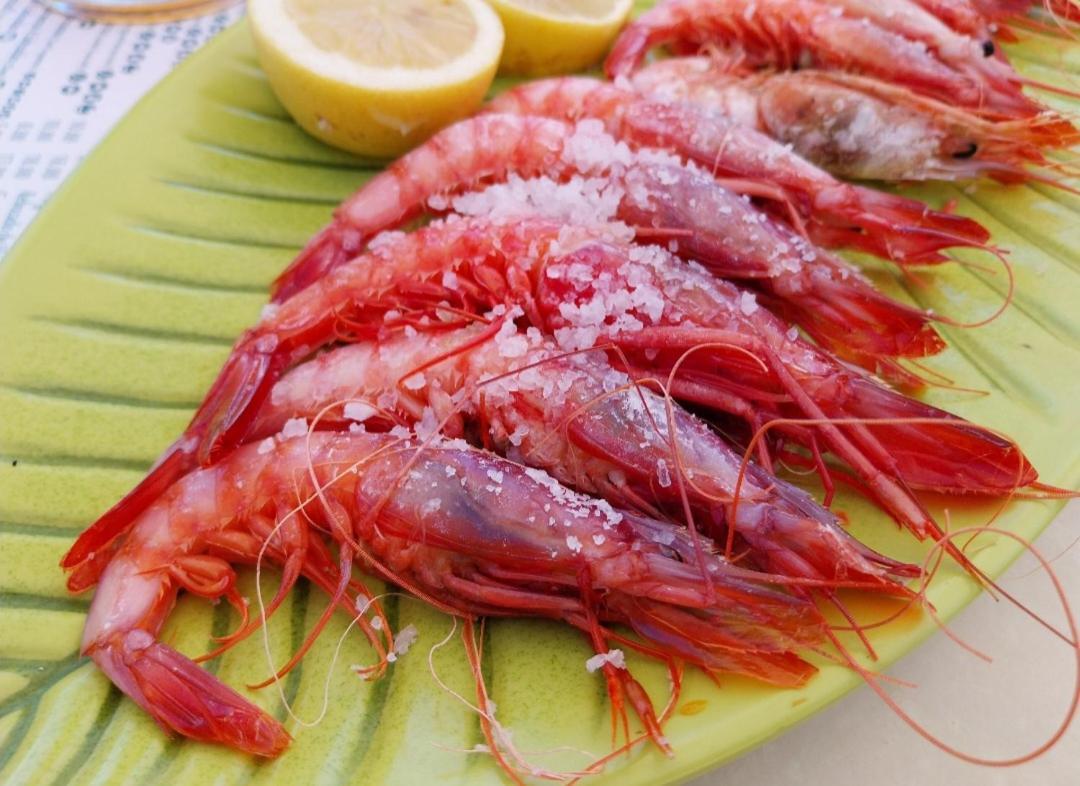 S&H La Malcriada San Juan de los Terreros Dış mekan fotoğraf